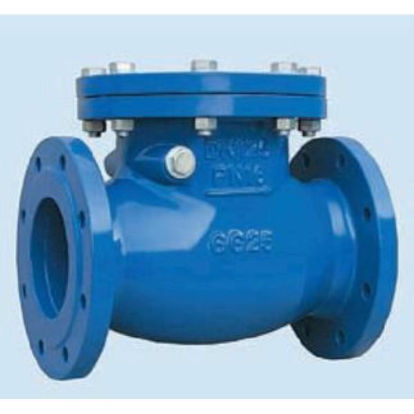 Electric Actuated Flange Drainage Check Valve DIN 3356 Unique Stem Hole Design