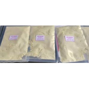 Spices Powder Pickled Sushi Wasabi Paste Tube Sour Taste