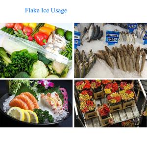 ICEMA 30T/24hours Flake ice machine energy conservation