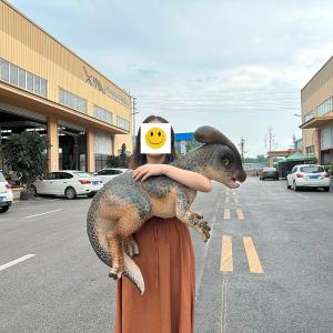 Animatronic Dinosaur Hand Puppet Customized for Park and Show