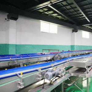 60000bph Hydrogen-Rich Water Production Line and Water Packaging Line with 100