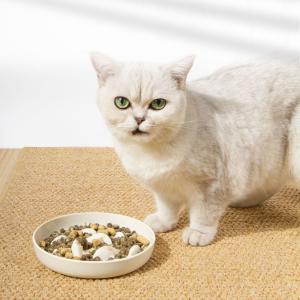 Trendy Slow Feed Pet Bowls - Aligning with Current Market Demands