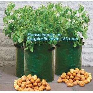 Nine pockets cheap vegetable grow planter bag,china manufacture riptop