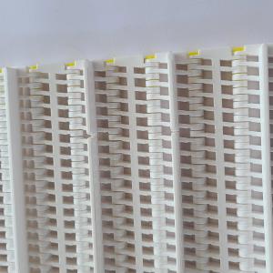 Plastic Radius Solid Top with Tab Modular Belt