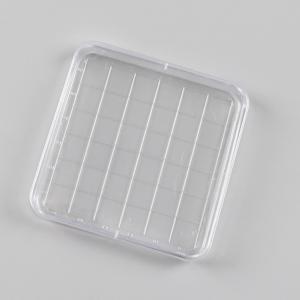 Plastic Polystyrene Square Integrid Tissue Culture Dish Petri Dish With Grid