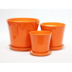 Beauty And Functionality Of Ceramic Pots For Any Plant Shop Small Size