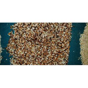 Automatic 7 Chutes Farm Processing Line Used Wheat Barley Color Sorting Machine