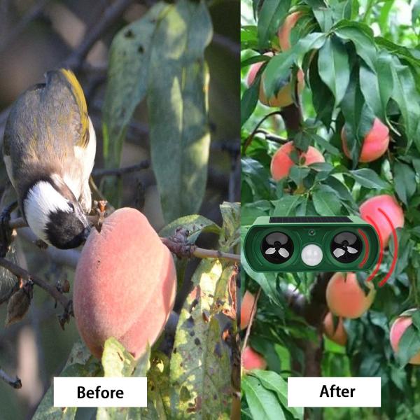 Outdoor Solar Powered Waterproof Animal Repeller Shocked Repeller for Animal Control