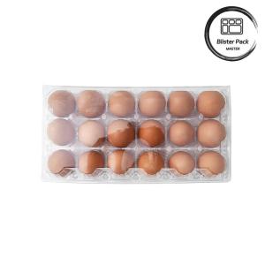 28 Hole Thermoformed Custom Clear PET Plastic Transparent Egg Blister Tray For