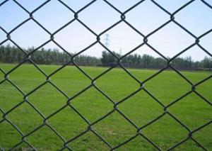 Cheap 11.5 gauge Green PVC Coated Galvanised Steel Chain Link Fencing 20m 30m for sale