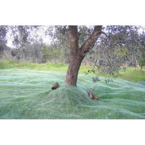 Green House HDPE 70% 90% Sun Shade Rate Net Vegetables Olive Net for Olives