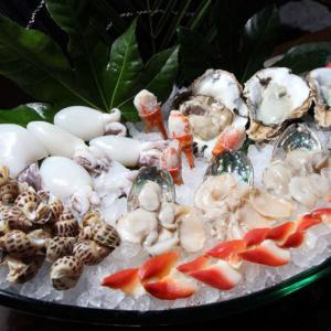 Advanced 100kg Per Day LZ-220 Automatic Intelligent Energy Saving Ice Maker