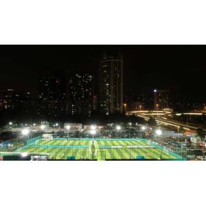 Dtex Artificial Grass With Disease Resistance 16.5 Stitches Effective Drainage