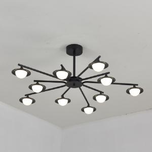Unique Acrylic Black Aluminum Modern Pendant Light Different Shape