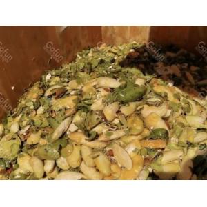 Energy-Saving High Efficiency Water-Saving Mango Processing Line and Mango Pulp