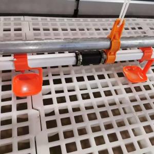 Cheap Construction Steel Structure Building Poultry Farm Chicken House