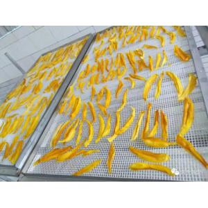 High Tech Industrial Mango Slices Dryer Vibration Type Dewatering Machine