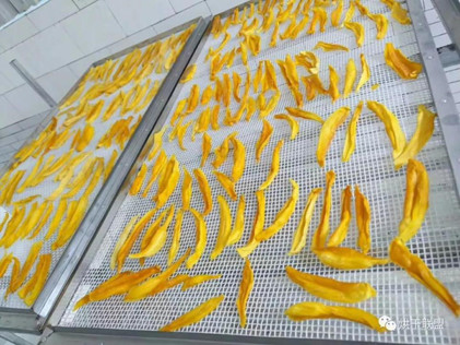 Quality High Tech Industrial Mango Slices Dryer Vibration Type Dewatering Machine wholesale