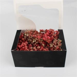 Eternal Preserved Hydrangea 3-5 Years Flower Life Multi Color For Ceremony