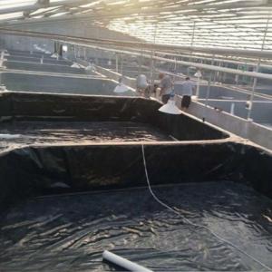 Double Smooth Surface Pond Liner Geomembrane for Fish Prawn Fram and Dam