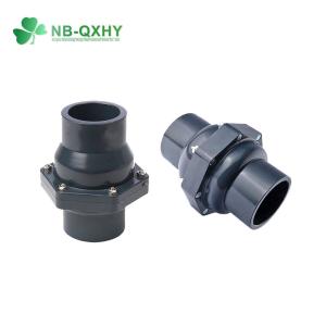 Plastic Check Valve DIN ANSI JIS Standard with Thread Connection Form and US 1