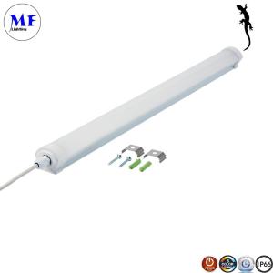 120Deg IP66 LED Triproof Light Years IK08 3000K 6000K with Emergency Sensor For