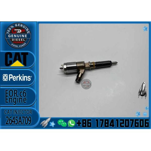 Quality Injector 10R-7672 306-9380 2645A734 282-0490 2645A709 C6.6 E312D 313D 320D 321D wholesale