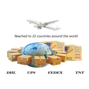 China To Iran International Sea Freight Services 20GP 40GP