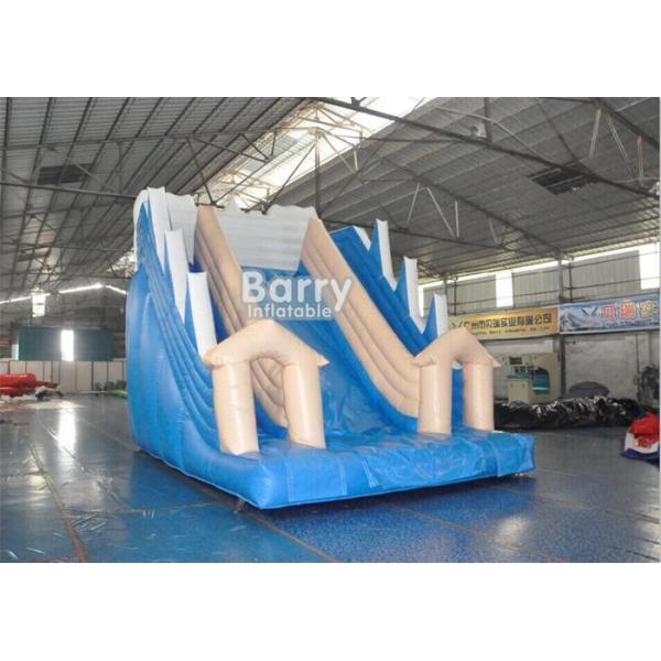 White And Blue Inflatable Water Slides / PVC Tarpaulin OEM Childrens Outdoor