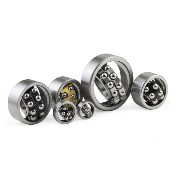 2202 Self Aligning Ball Bearings Size 15X35X14 15*35*14 MM E-2RS1TN9 2RS