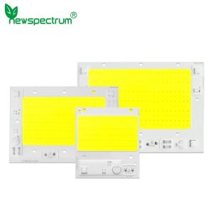 240V Dimming Cob LED Chip 6000K With AC100-240V Voltage 50000hrs Lifespan