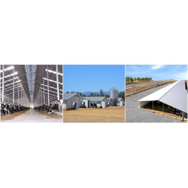 Weatherproofing Galvanized Prefab Modular Buildings Structure Poultry House