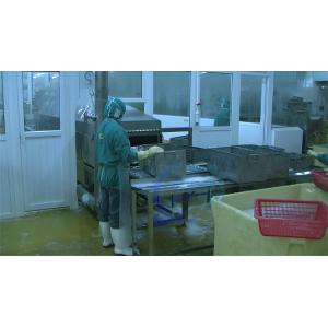 Sushi stainless steel cleaning machine customized shrimp boiling machine belt