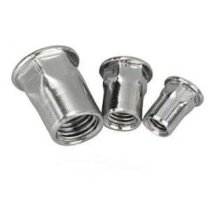M6 M8 18-8 Stainless Steel 304 316 Plain Semi Hex Flat Head Rivet Nuts