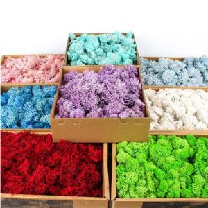 Customized Color Super Moss Reindeer Moss 58*39.5*20CM For Home Decoration