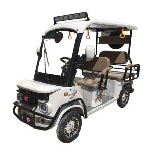Compact 4-Passenger Capacity Electric Passenger Four-Wheeler with 800W Motor and