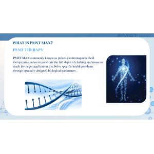 3 In1 Pmst Physio Magneto Machine PMST Therapy Device Magnetic Pulser Pemf