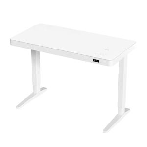 Customized White Black Wooden Electric Standing Desk with Drawers and Memory