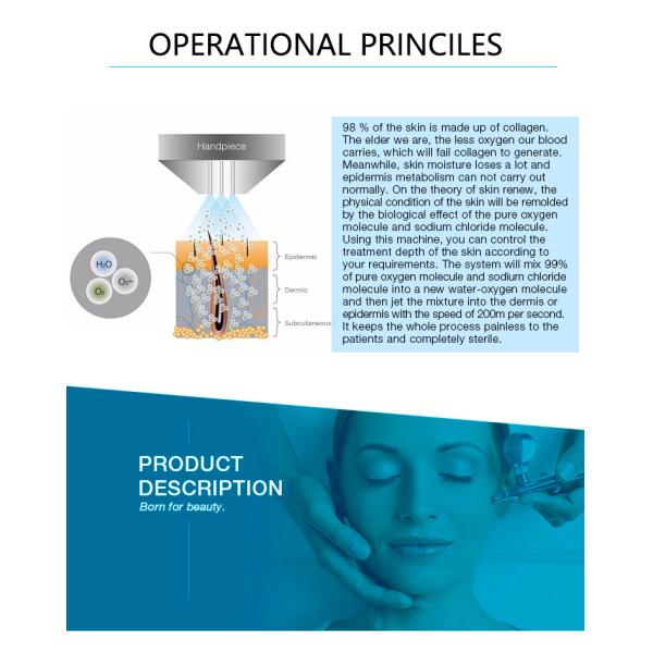 Multifunctional 10 in 1 facial care skin Moisturizing hydra oxygen mask jet peel skin facial care machine