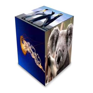 High Resolution Cube Creative LED Video Wall P2.5mm