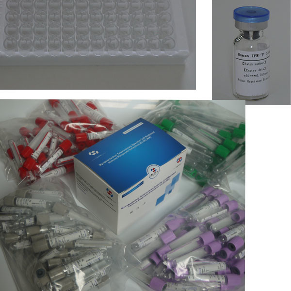 Quality Easy-to- TB-IGRA ELISA Test Kit with Long Shelf Life and 2C-8C Preservation Method wholesale