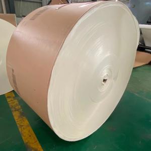 PE Coated Jumbo Roll Paper 1300mm