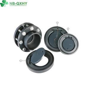 Plastic Check Valve DIN ANSI JIS Standard with Thread Connection Form and US 1