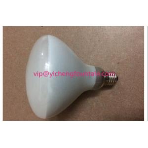 E27 Screw 12V 300W Halogen Bulb Replacement For LED Underwater Pool Lights