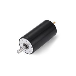 36v High Torque Bldc Motor Customized 10mm Coreless Motor 10000Rpm Blower