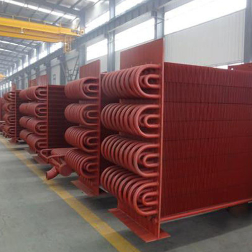 High Pressure Coal-fired Boiler Economizer with Max. 20t/h Steam Production for