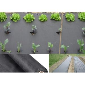 Cheap Moisture PP Agriculture Non Woven Fabric For Garden Weed Control 50gsm - 70gsm for sale