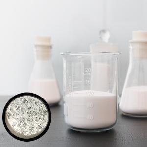 Cheap HN60S Hollow Glass Microspheres 10-60 µm for Structural Sealants for sale