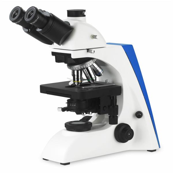 Quality Laboratory Compound Optical Microscope 1000x wholesale