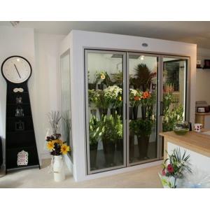 Scroll Compressor Walkin Freezer Commercial Glass Door Freezer with -0.4f